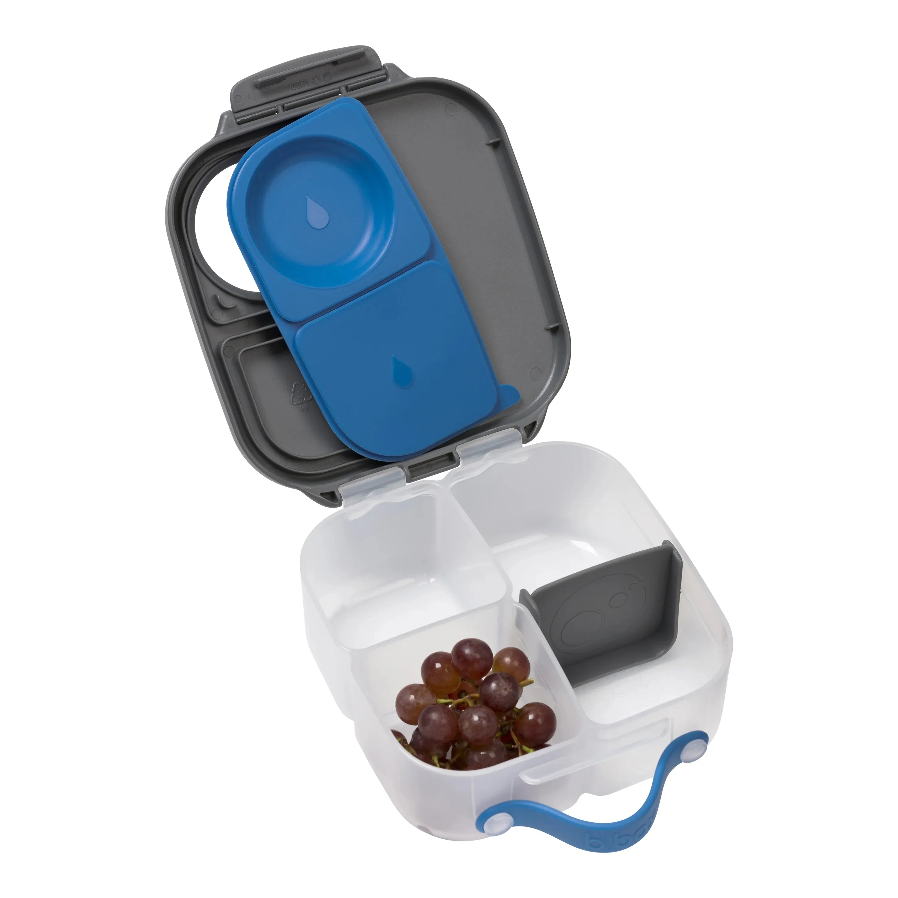 B. Box Mini Bento Lunch Box